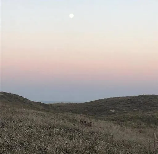 Les Pieds Dans L' Eau *
