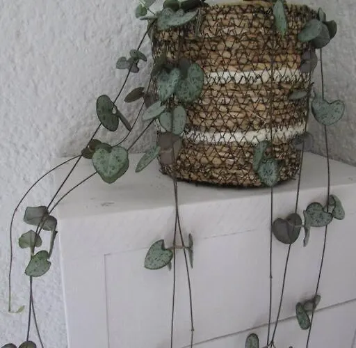 Les Pieds Dans L' Eau Σπίτι διακοπών Brétignolles-sur-Mer