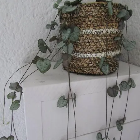 Les Pieds Dans L' Eau 펜션 Brétignolles-sur-Mer