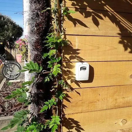 Les Pieds Dans L' Eau *